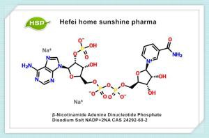نمک دی سدیم دی سدیم Β-نیکوتین آمید آدنین دینوکلئوتید فسفات NADP+2NA CAS 24292-60-2