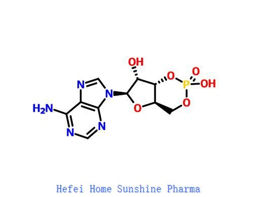 Adenosine 3',5'-cyclic Monophosphate (CAMP) CAS 60-92-4