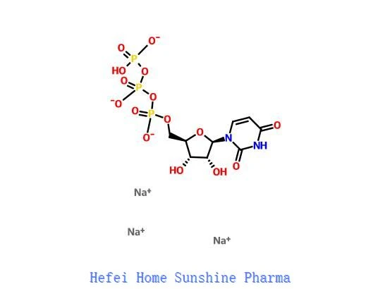 Uridine 5'-triphosphate Trisodium Salt UTP-Na3 CAS 19817-92-6